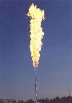 Lng Burner